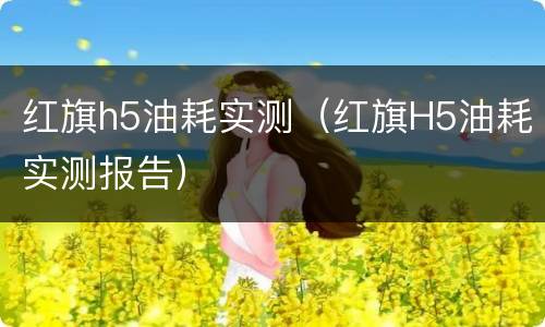 红旗h5油耗实测（红旗H5油耗实测报告）