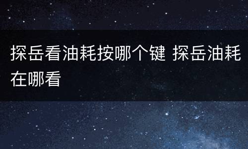 探岳看油耗按哪个键 探岳油耗在哪看