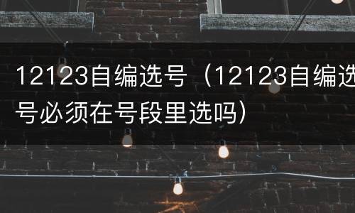 12123自编选号（12123自编选号必须在号段里选吗）