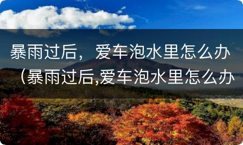 暴雨过后，爱车泡水里怎么办（暴雨过后,爱车泡水里怎么办）
