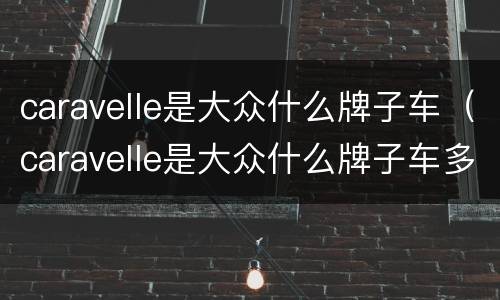 caravelle是大众什么牌子车（caravelle是大众什么牌子车多少钱）