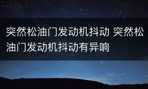 突然松油门发动机抖动 突然松油门发动机抖动有异响