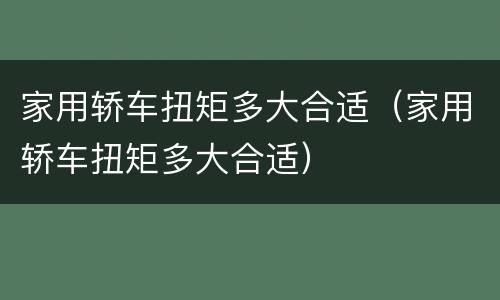 家用轿车扭矩多大合适（家用轿车扭矩多大合适）