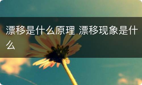 漂移是什么原理 漂移现象是什么
