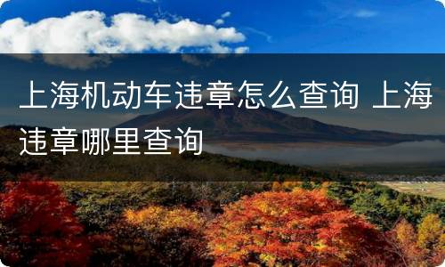 上海机动车违章怎么查询 上海违章哪里查询
