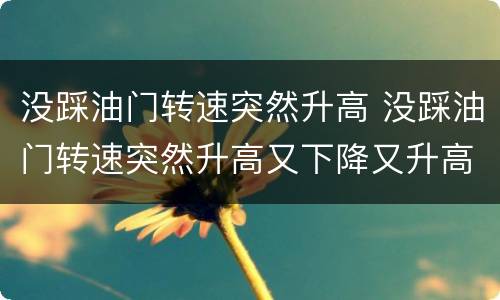 没踩油门转速突然升高 没踩油门转速突然升高又下降又升高