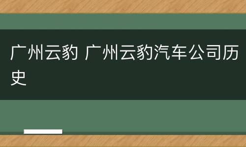 广州云豹 广州云豹汽车公司历史