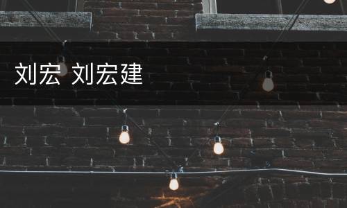 刘宏 刘宏建