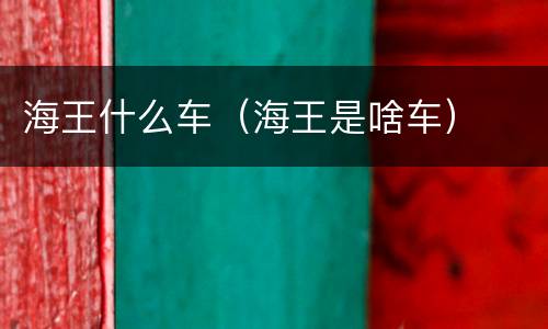 海王什么车（海王是啥车）