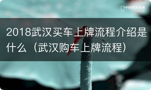 2018武汉买车上牌流程介绍是什么（武汉购车上牌流程）