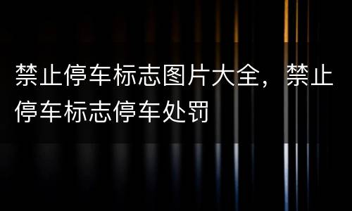 禁止停车标志图片大全，禁止停车标志停车处罚