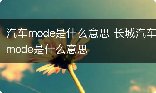 汽车mode是什么意思 长城汽车mode是什么意思