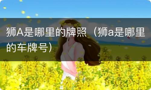 狮A是哪里的牌照（狮a是哪里的车牌号）