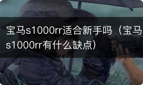 宝马s1000rr适合新手吗（宝马s1000rr有什么缺点）