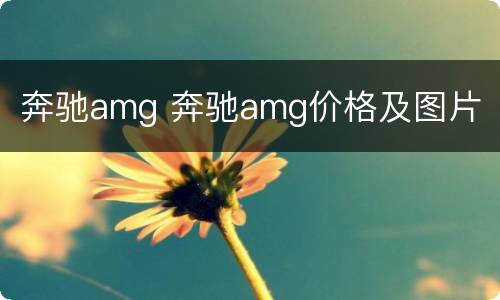 奔驰amg 奔驰amg价格及图片
