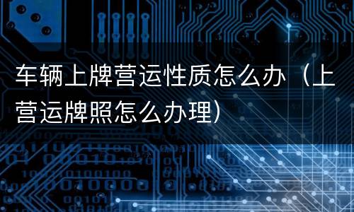 车辆上牌营运性质怎么办（上营运牌照怎么办理）