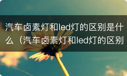 汽车卤素灯和led灯的区别是什么（汽车卤素灯和led灯的区别是什么图片）