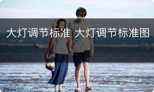 大灯调节标准 大灯调节标准图