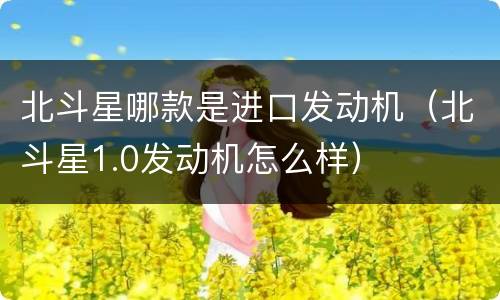 北斗星哪款是进口发动机（北斗星1.0发动机怎么样）