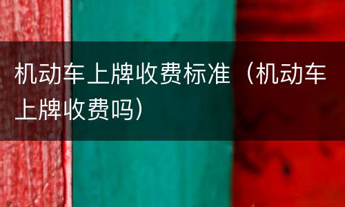 机动车上牌收费标准（机动车上牌收费吗）