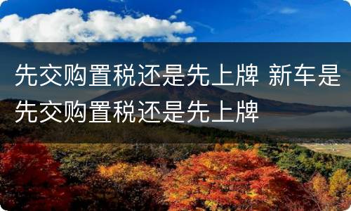 先交购置税还是先上牌 新车是先交购置税还是先上牌