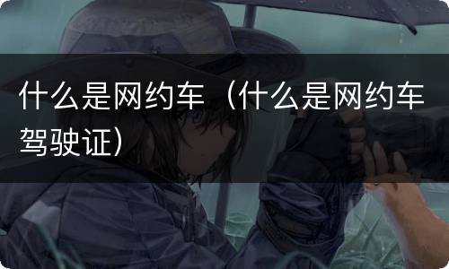 什么是网约车（什么是网约车驾驶证）