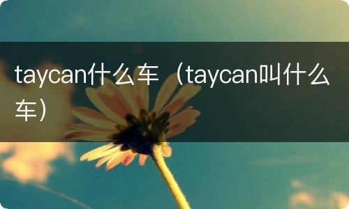 taycan什么车（taycan叫什么车）