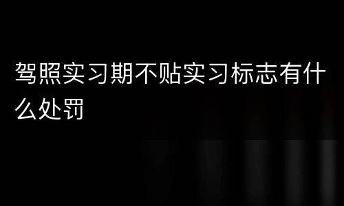 驾照实习期不贴实习标志有什么处罚