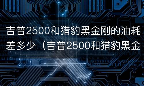 吉普2500和猎豹黑金刚的油耗差多少（吉普2500和猎豹黑金刚的油耗差多少钱）