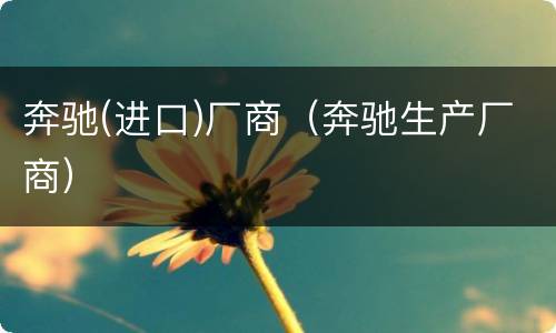 奔驰(进口)厂商（奔驰生产厂商）