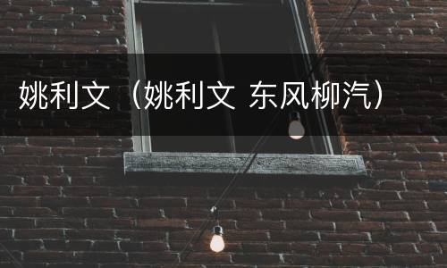 姚利文（姚利文 东风柳汽）