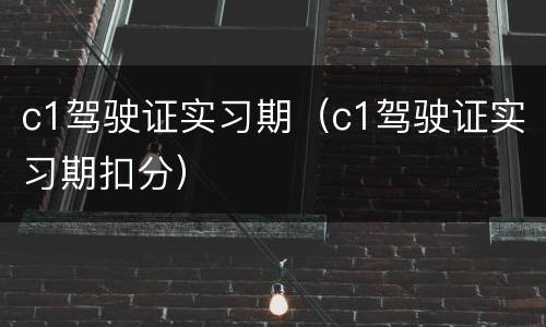 c1驾驶证实习期（c1驾驶证实习期扣分）