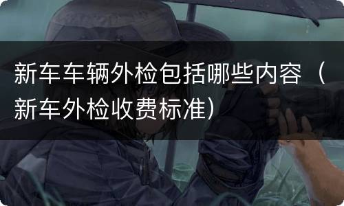 新车车辆外检包括哪些内容（新车外检收费标准）