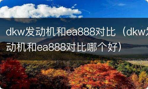 dkw发动机和ea888对比（dkw发动机和ea888对比哪个好）