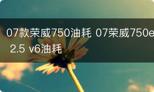 07款荣威750油耗 07荣威750e 2.5 v6油耗