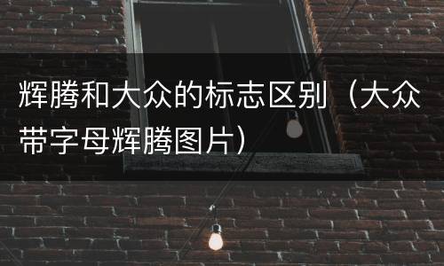 辉腾和大众的标志区别（大众带字母辉腾图片）