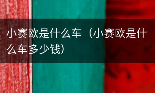 小赛欧是什么车（小赛欧是什么车多少钱）