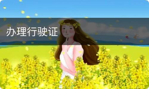 办理行驶证