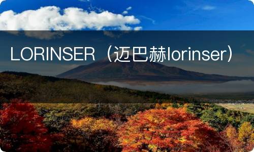 LORINSER（迈巴赫lorinser）