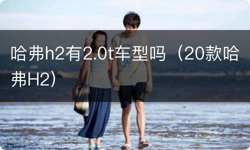 哈弗h2有2.0t车型吗（20款哈弗H2）