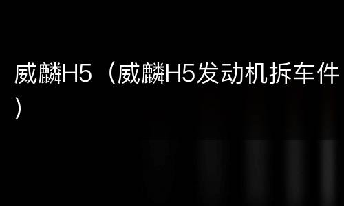 威麟H5（威麟H5发动机拆车件）