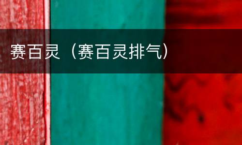 赛百灵（赛百灵排气）