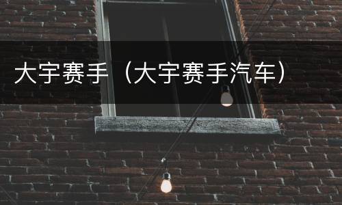 大宇赛手（大宇赛手汽车）