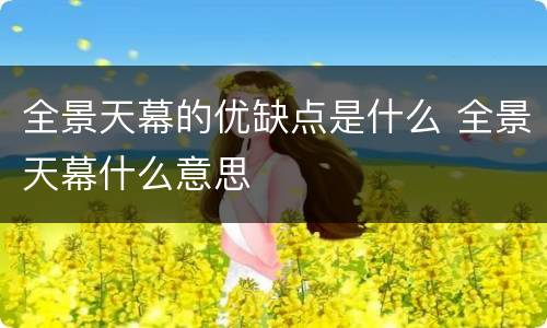 全景天幕的优缺点是什么 全景天幕什么意思