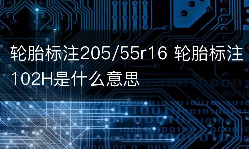 轮胎标注205/55r16 轮胎标注102H是什么意思