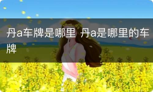 丹a车牌是哪里 丹a是哪里的车牌