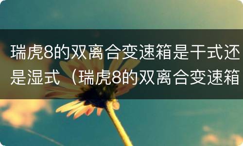 瑞虎8的双离合变速箱是干式还是湿式（瑞虎8的双离合变速箱是干式还是湿式好）