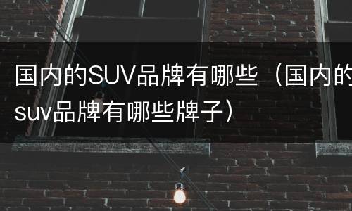 国内的SUV品牌有哪些（国内的suv品牌有哪些牌子）
