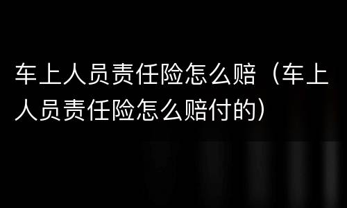 车上人员责任险怎么赔（车上人员责任险怎么赔付的）