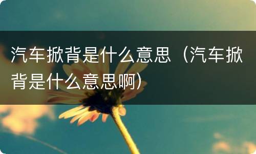 汽车掀背是什么意思（汽车掀背是什么意思啊）
